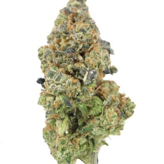 Sour Tangerine