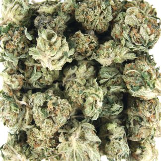 MK Ultra