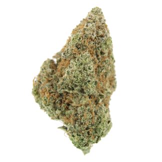 Hash Plant