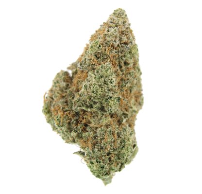 Hash Plant