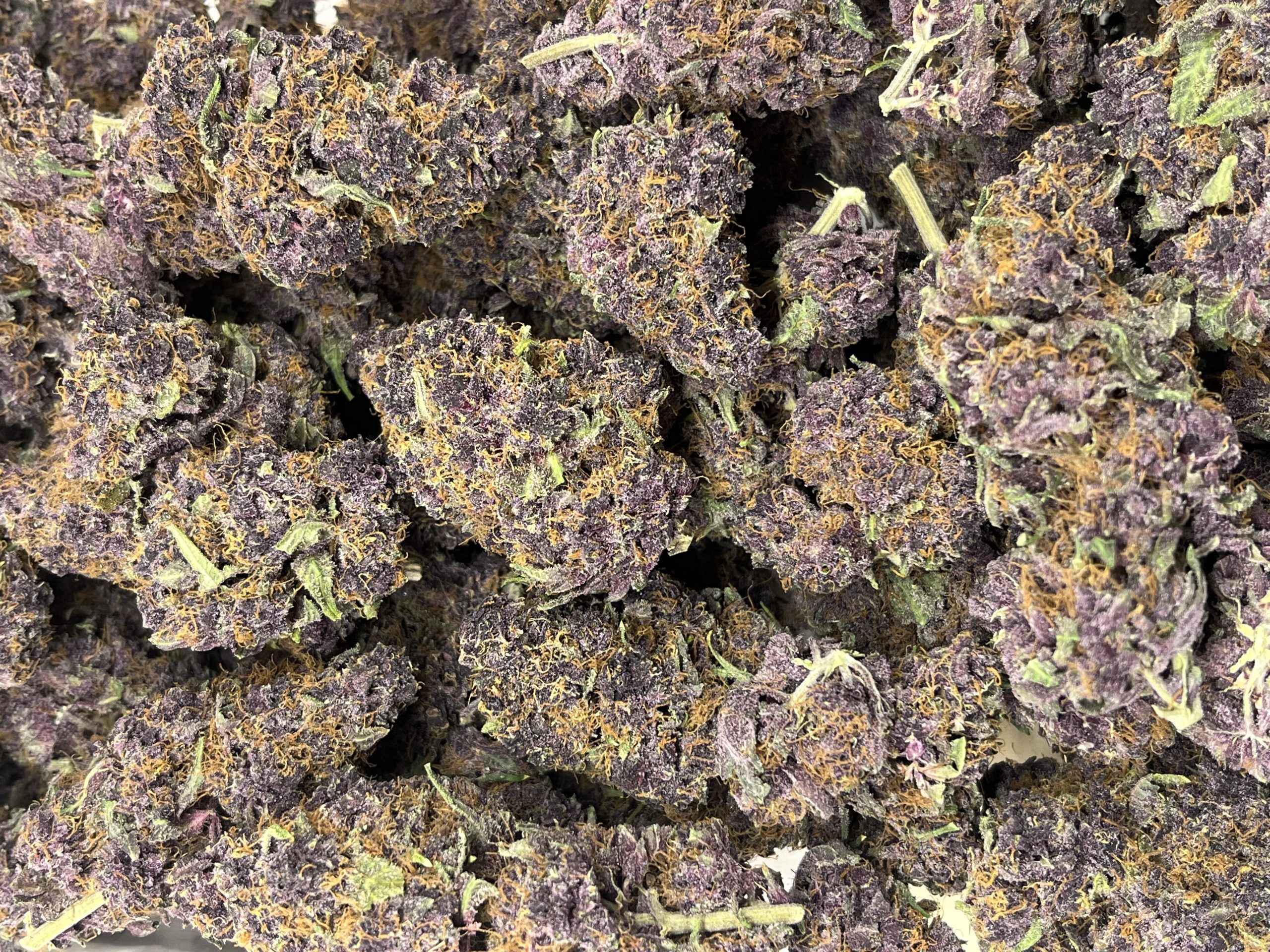 Shishkaberry X Grapefruit