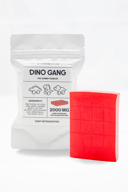 Dino Brick Gummy (2000mg/20pc)