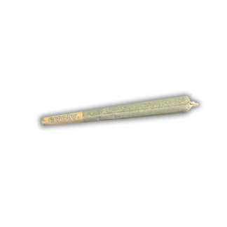 Flicks & Fire Preroll