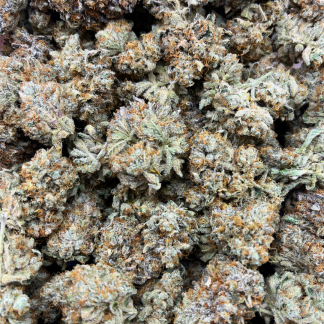 Fruit Punch