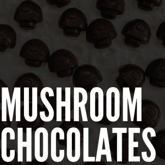 Mushroom Chocolates