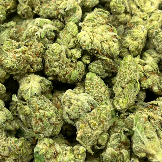 Violator Kush